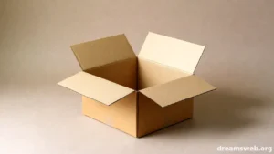Empty Cardboard Box Dream Meaning Interpretation