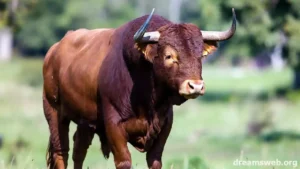 Seeing a Bull in a Dream: Power or Danger?