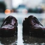 Wet Shoes in a Dream What Your Mind Is Telling You