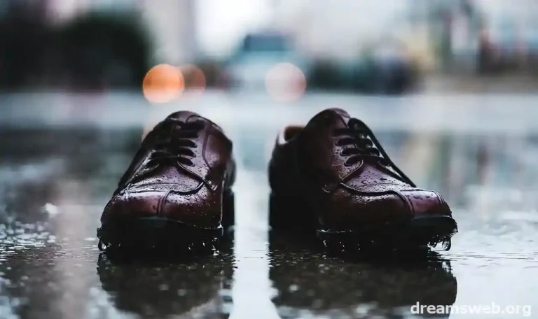 Wet Shoes in a Dream What Your Mind Is Telling You